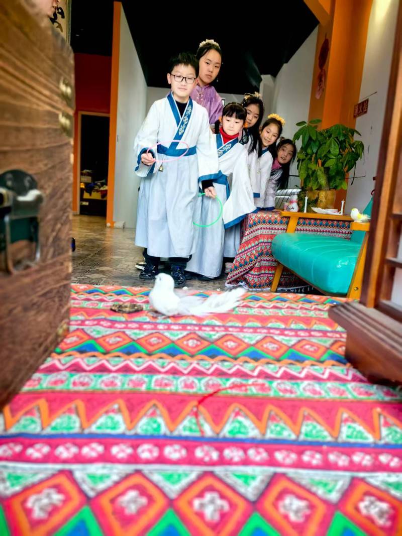 驿城区文旅项目策划